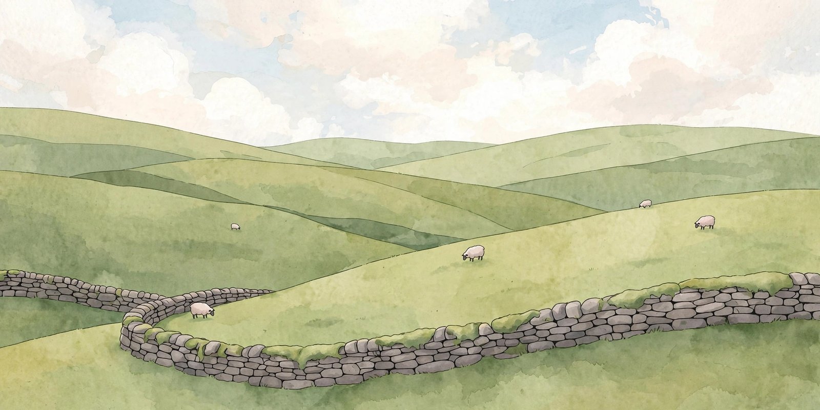 Green rolling Irish countryside hills with sheep